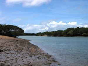 Cape Creek, Cape Palmerston National Park