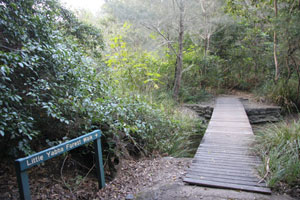 Boardwalk creek crossing on Little Yabba Creek circuit. 