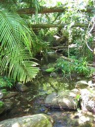 The trail crosses several small creeks
