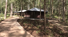 Photo of Daisy Hill day-use area which features a Disability Discrimination Act compliant pathway along which compliant picnic tables, barbecues and toilets are available.