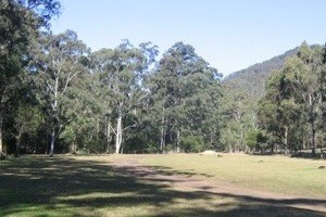 Poplar Flat camping area. 