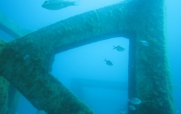 Fish boxes are already attracting fish to North Moreton Artificial Reef.