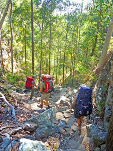 Descending from Boolimba Bluff to Carnarvon Creek on the last stage of the Great Walk