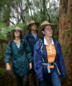 Image of walkers in a small group. Small groups of about four are ideal—never walk alone.