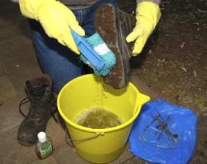 Image of person cleaning all their camping gear and footwear before leaving home. Don't let your walk destroy the forest; stop the spread of pathogens.