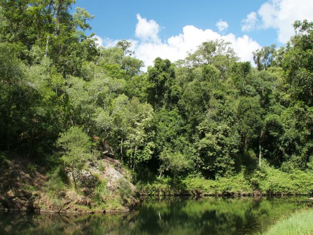 Cedar Grove camping area is set on the banks of Amamoor Creek.