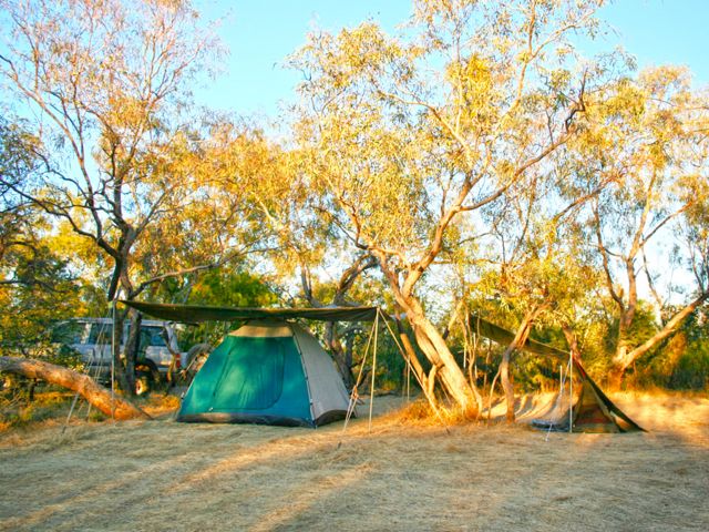 Set up camp under shady coolibah trees along Whistling Duck Creek.