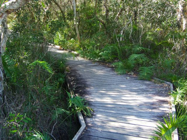 The Ocean Beach Walk crosses paperbark swamp and sedgelands.