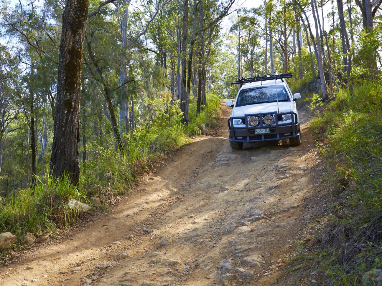 Mount Mee forest drive | D'Aguilar National Park | Parks and forests ...