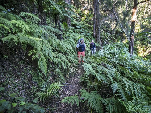 This is one of the most magnificent walks in Lamington National Park.