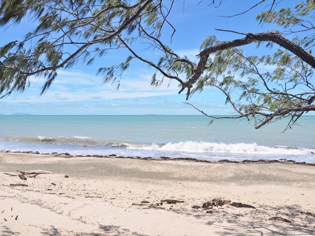 Camp beside the beach in the shade of sheoaks at Windmill Bay camping area.