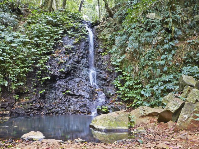 Discover the delightful Tim Shea Falls on the Scenic circuit.