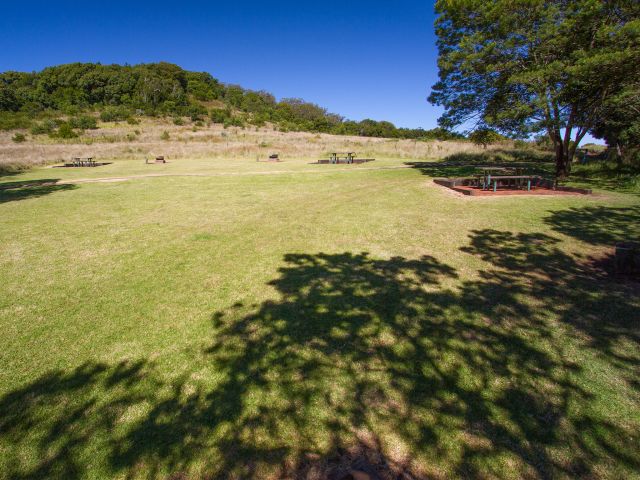 Enjoy a picnic on a quiet grassy 'bald' surrounded by forest.