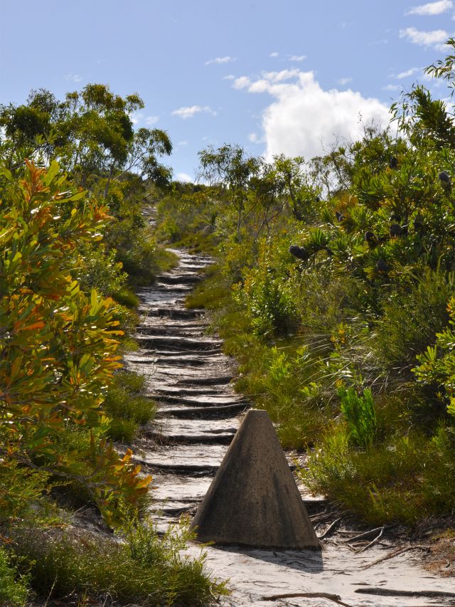 Five Hills lookout track heads up through low heathland.