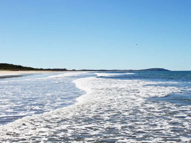 The Eurimbula sea trail explores beaches, estuaries, creeks, rocky headlands and coral reefs.