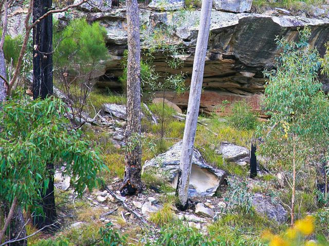 You'll find a pleasant bush camp site at Bunbuncundoo Springs in the Ka Ka Mundi section of the park.