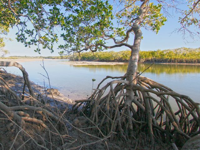 Enjoy great views across the peaceful Theodolite Creek from the day-use area.