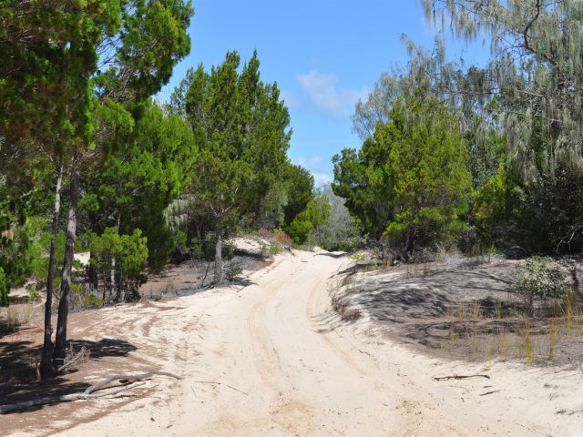 Bypass road from Kooringal to the eastern beach on the Southern Island discovery drive.