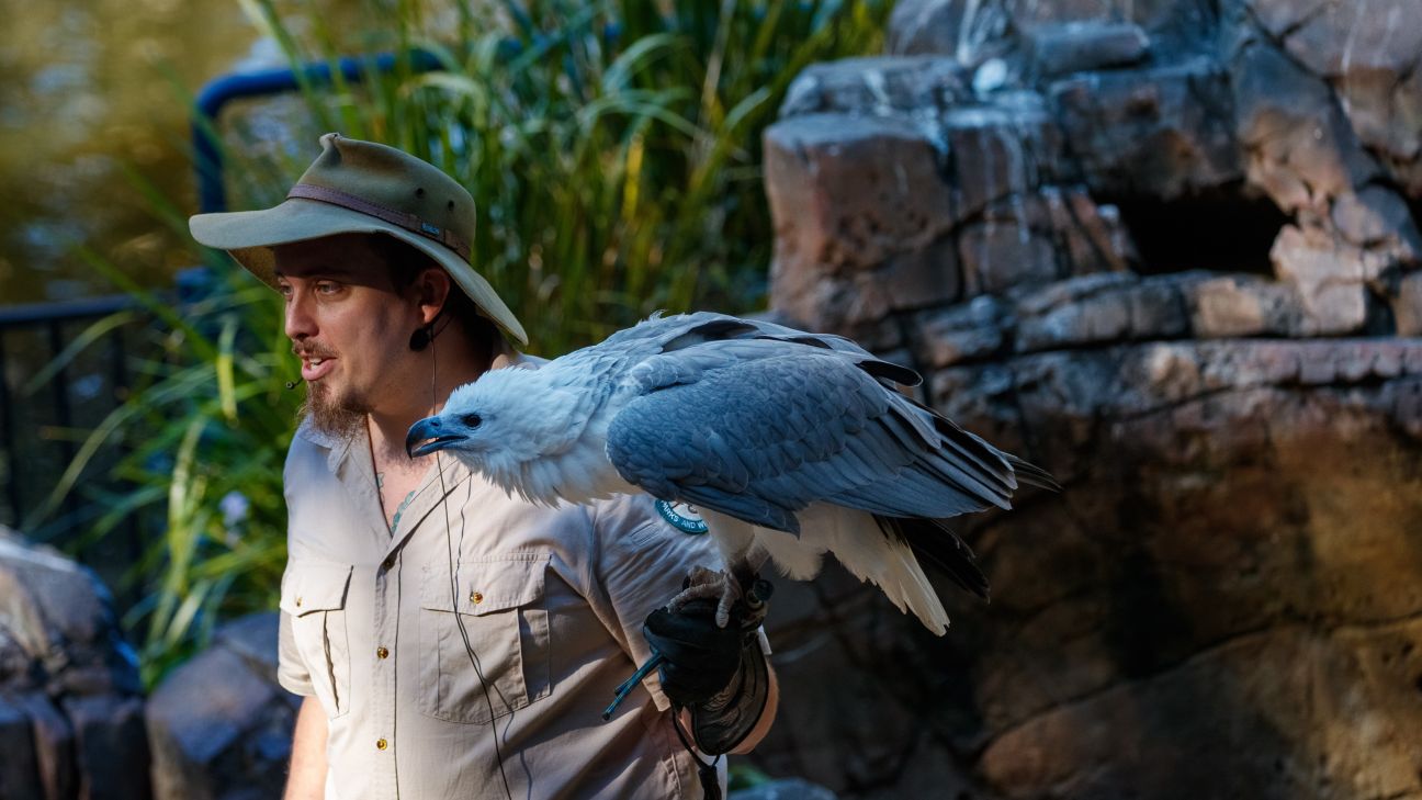 Photo of a ranger presenting with a bird of prey