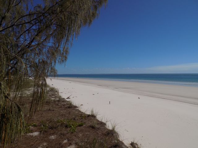 Image of unspoiled views of white sand beaches across the Great Sandy Strait.
