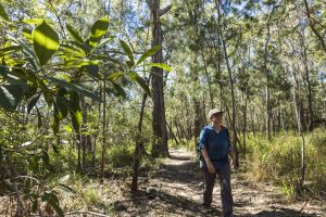 Photo of Turtle Rock circuit trail, Dinden National Park