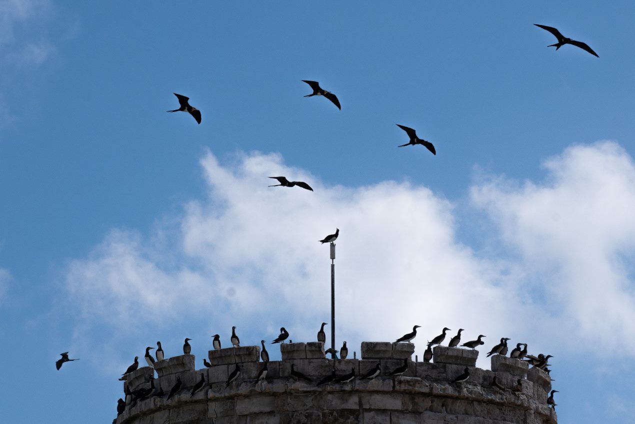 The restoration team were conscious to cause minimal disruption to the natural environment.