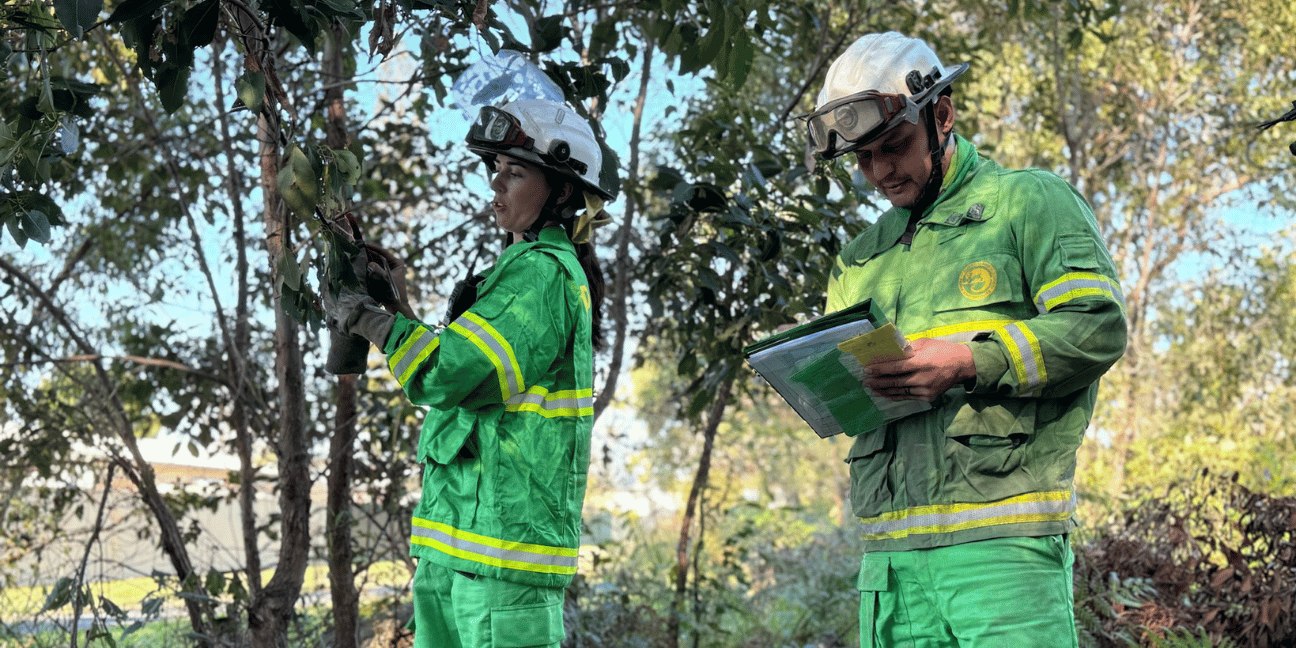 Two Rangers in green fire uniforms with white helmets check the conditions after a test burn.