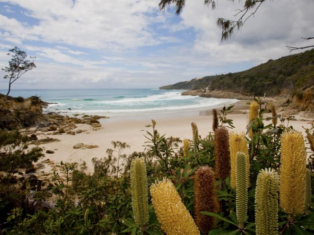 Honeymoon Bay is stunning, a Moreton Island must see!