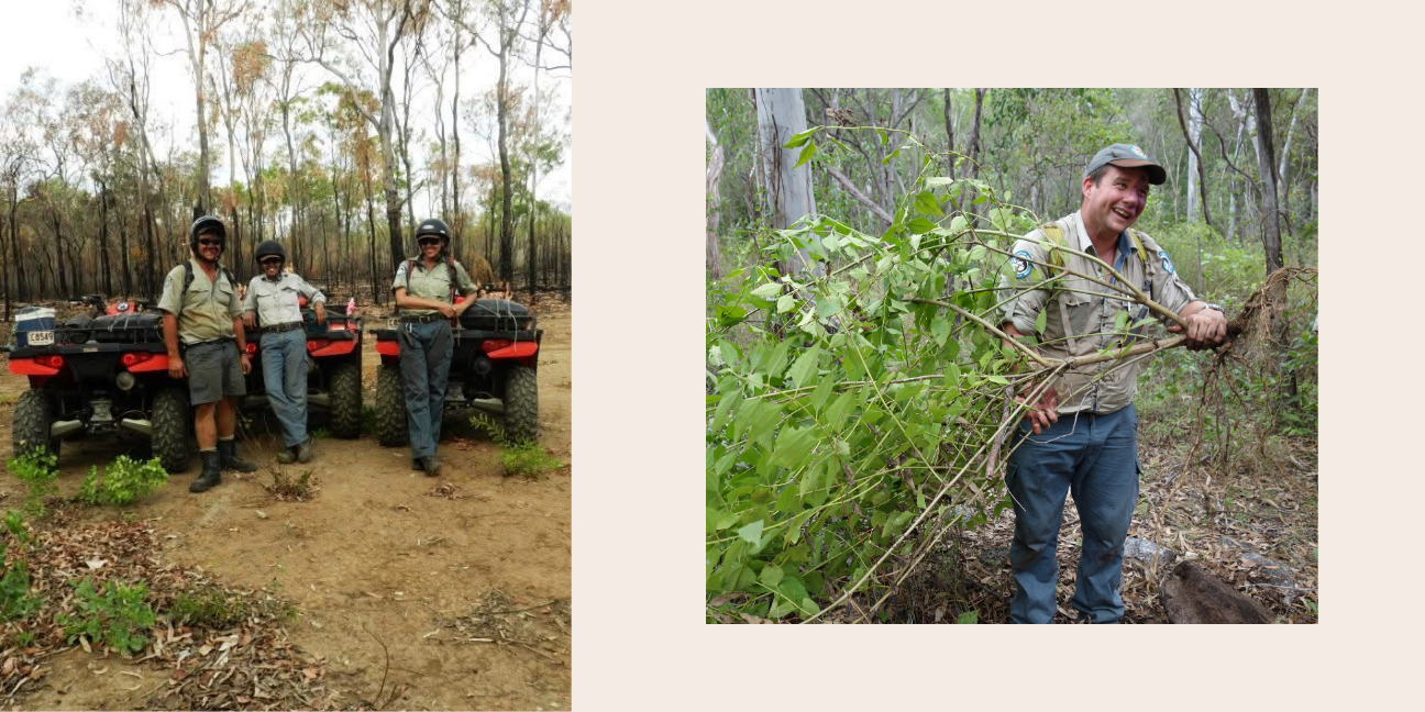 Left: three rangers in uniform with helmets on leaning against quad bikes and smiling at the camera. Right: Rob in uniform smiling while he uproots a weed