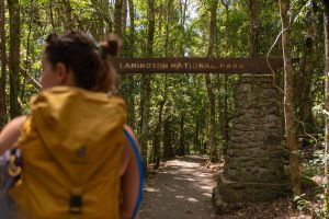 Track head sign in Lamington National Park