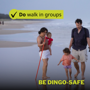 Image of Be dingo-safe social tile - Do walk in groups
