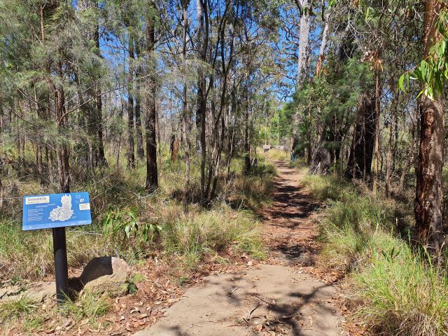 Dirt walking track surrounded by tall trees and dense vegetation under a clear blue sky. A blue information sign with white text and graphics is positioned on the left side of the walking track, indicating the start of the Goodela walk.