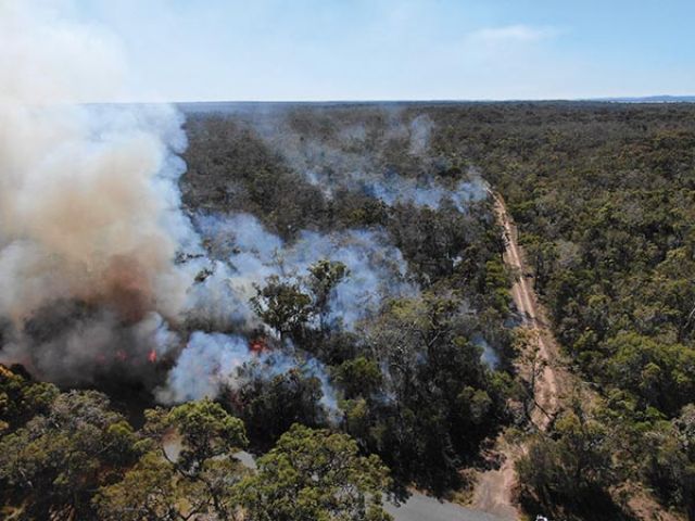Aerial view of smoke in a forest
