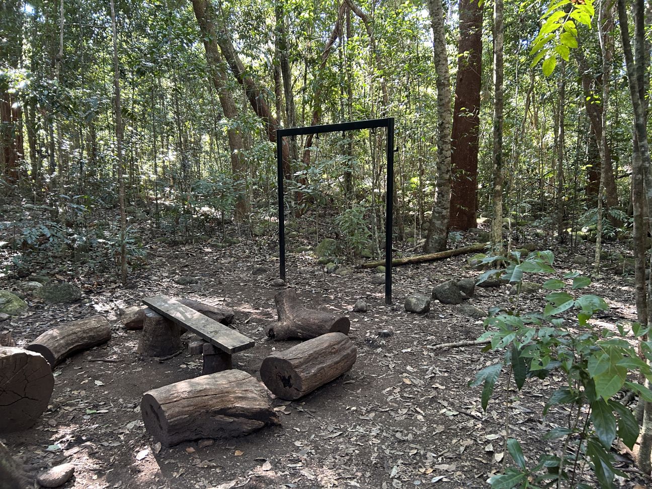 An independent hiker camp site at Mulligan Falls camping area before work was completed.