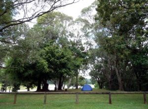 Shady camp sites.