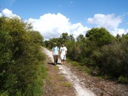 Take a peaceful walk along one of the management vehicle tracks that border the park.