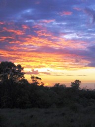 Sunsets can fill the sky with a myriad of colours