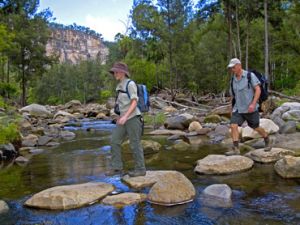 Image of the main walking track crosses Carnarvon Creek many times.