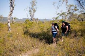Two people bushwalking through a grassy area, carrying backpacks.