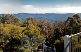 Image of Mount Allan fire tower which provides expansive 360 degree views.