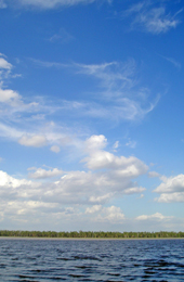 Lake Broadwater Conservation Park remains a valued conservation area and recreational resource. 