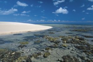 Image of Michaelmas Cay, Queensland.