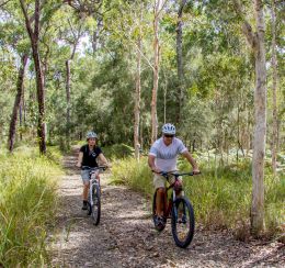 Image of mountain bike riders on the Soldier Settlers section of the shared trail between Beerburrum trailhead and Tibrogargan trailhead.