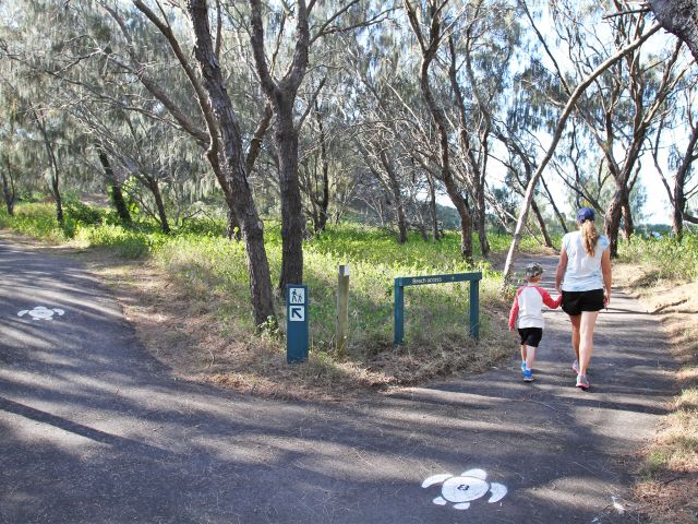 Follow the turtles along the trail.