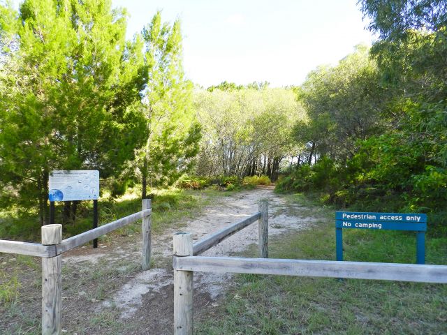 View the signs on migratory shorebirds of the area.