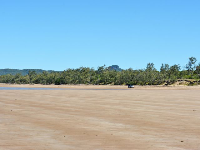 Beach driving skills are required for the Cape Palmerston drive.