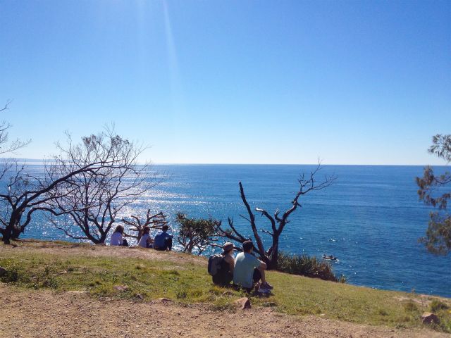 The Coastal Walk passes over several headlands and has spectacular coastal views.