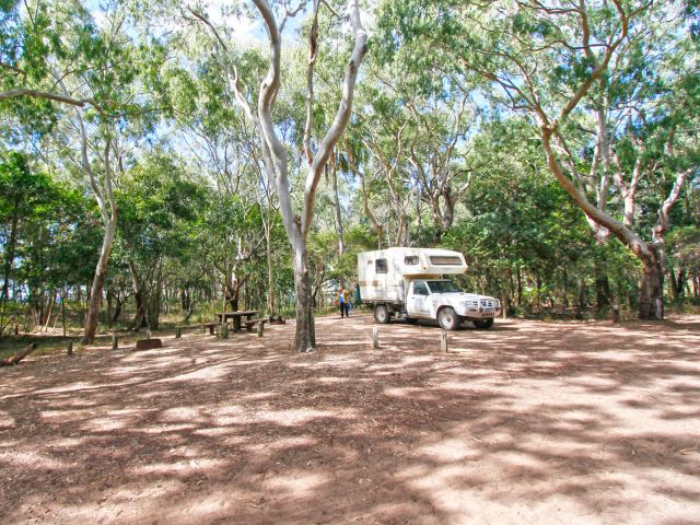 Camp sites are set in shady, eucalypt woodland behind Bustard Beach.