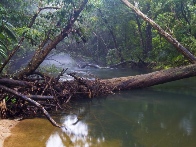 Broadwater Creek's peaceful beauty captured on camera.