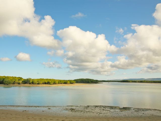 Cape Creek camping area sits on a small peninsula bordered by the mouth of Cape Creek and a beach.